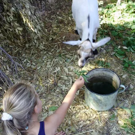 公寓 I&j Relaxing *