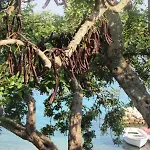 Διαμέρισμα I&j Relaxing Račišće
