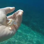Διαμέρισμα I&j Relaxing Račišće