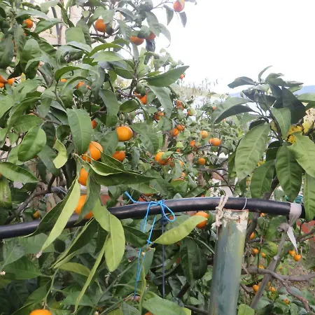 I&j Relaxing Lejlighed Račišće