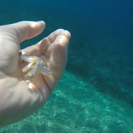 Lejlighed I&j Relaxing Račišće